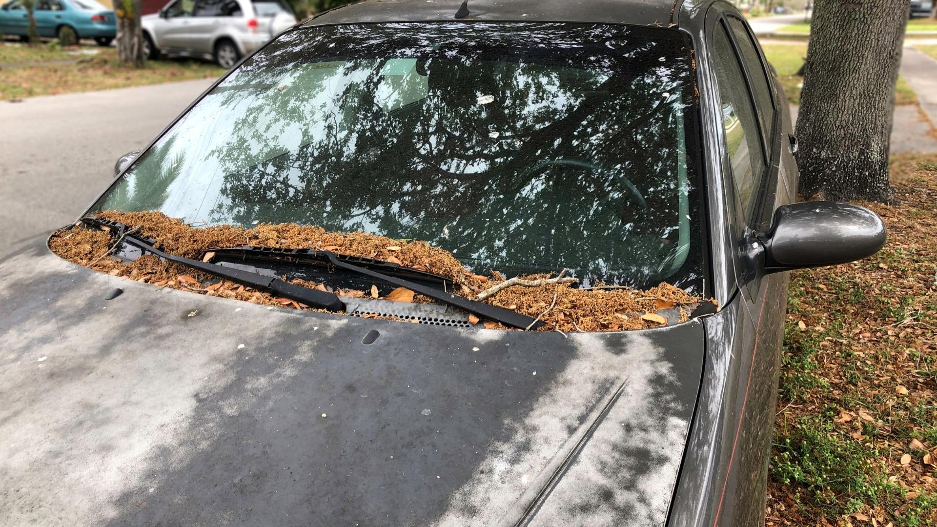 how to remove sap from your car