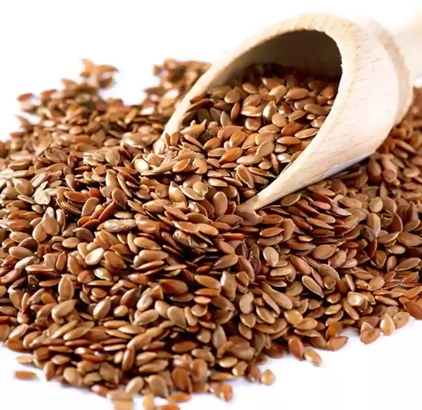 Flax Seed