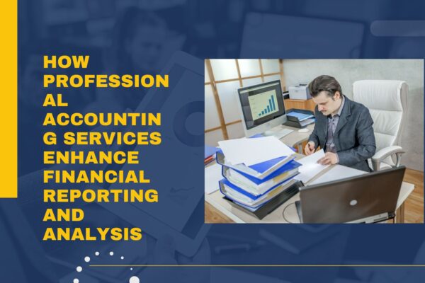 Professional Accounting Services In UAE