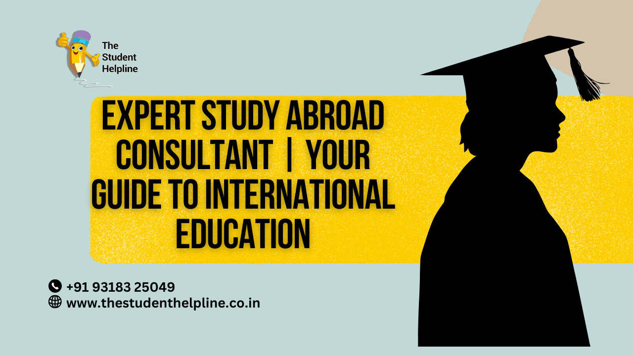 study abroad consultant