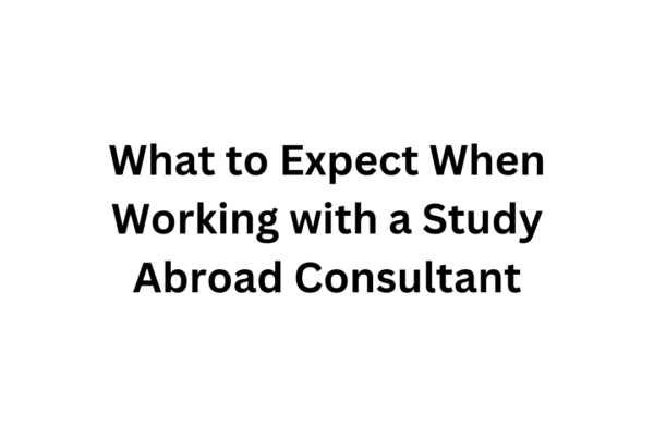 What to Expect When Working with a Study Abroad Consultant