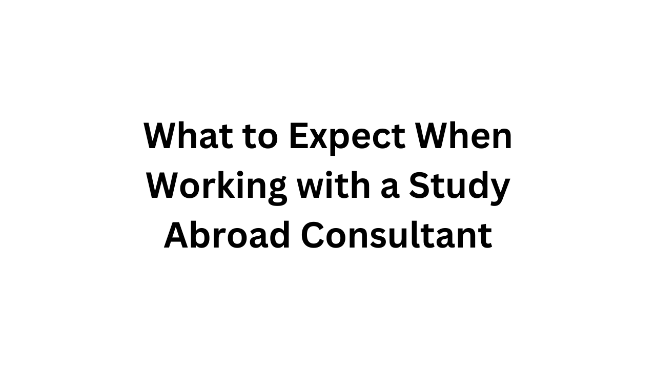 What to Expect When Working with a Study Abroad Consultant