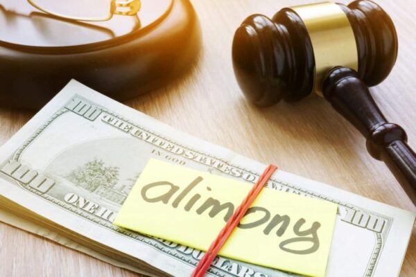 Florida Alimony Calculator 2024