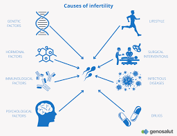 men infertility