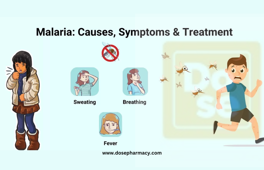 Emergency Malaria Treatment: What You Need to Know