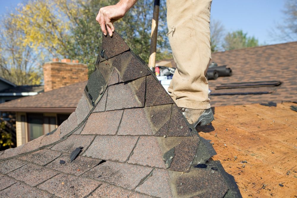 Roof Replacement