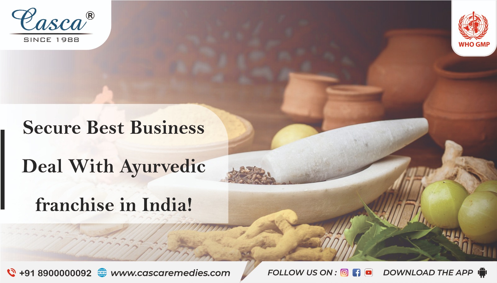 Secure Best Business Deal With Ayurvedic franchise in India!