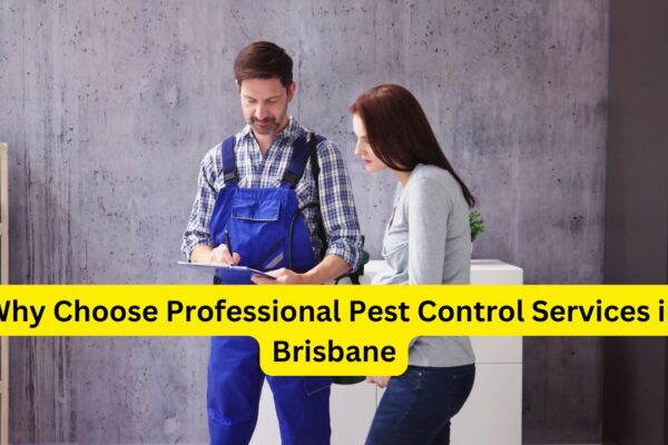 Pest Control Services Brisbane