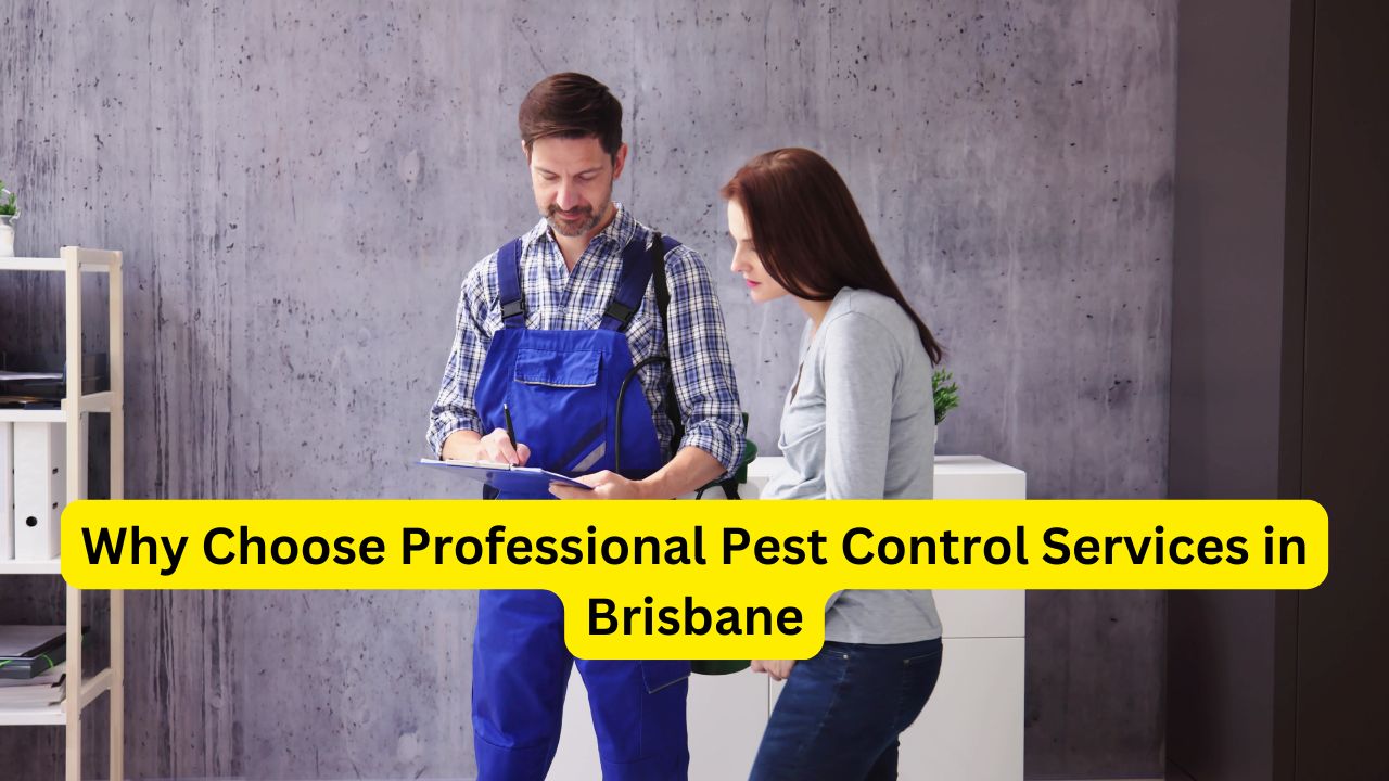 Pest Control Services Brisbane