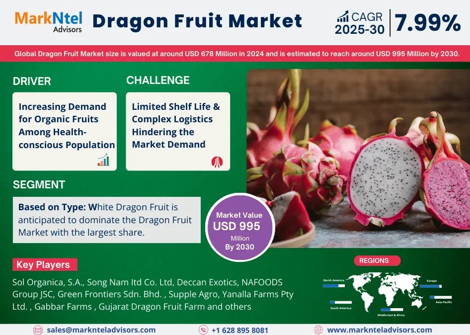 Dragon Fruit Market